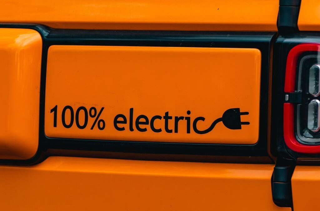Electric Vehicle Check-in Infographic